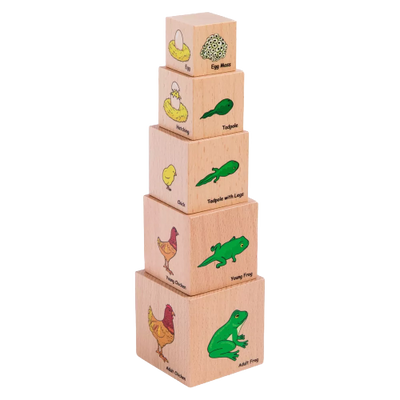 The Freckled Frog Lifecycle Wooden Blocks, Set of 5